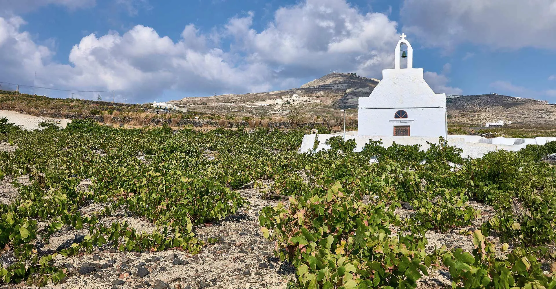 A Journey Through Santorini’s Iconic Wines